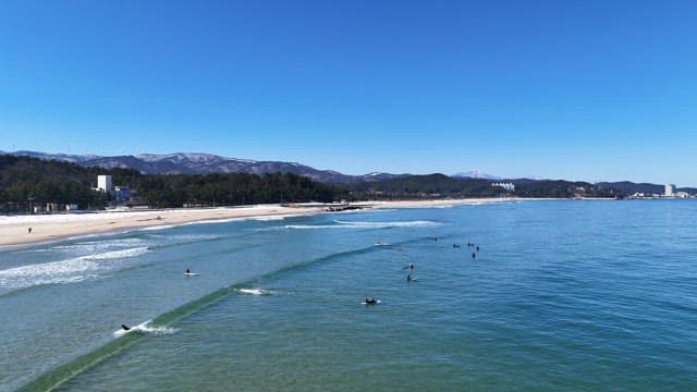 Beach with surfers and a pier