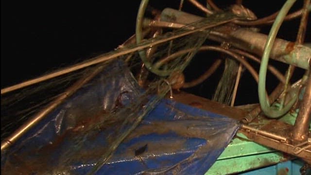 Night fishing activity aboard a boat