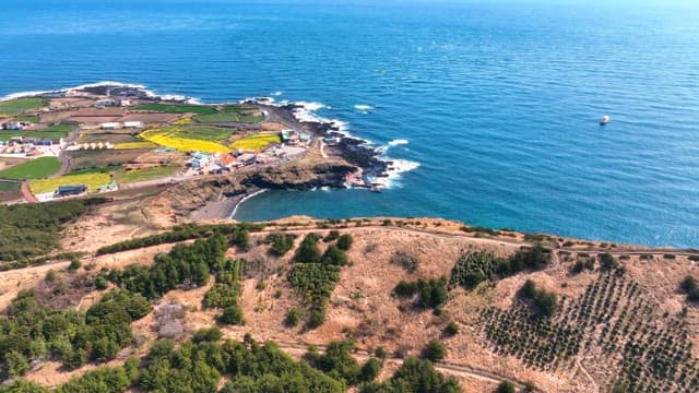 Coastal village with fields and ocean