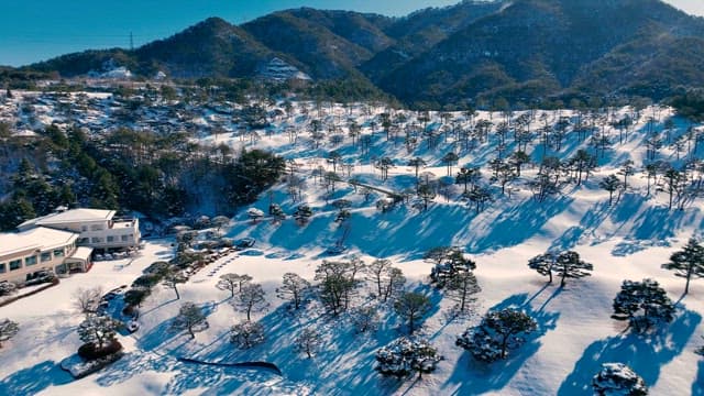 Snow-covered Landscape with Trees and Mountains