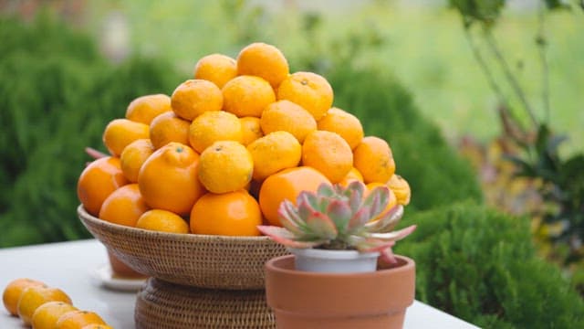 Basket of Fresh Citrus Fruits Outdoors