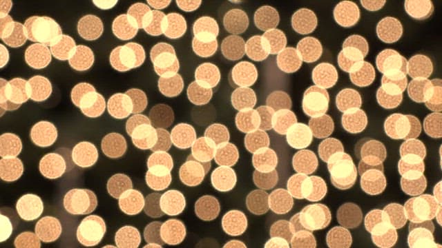 Bokeh Effect Created by Lights Surrounding a Tree