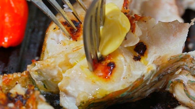 Delicious grilled parrotfish served with melted butter