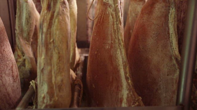 Hams hanging for curing process in a meat processing facility