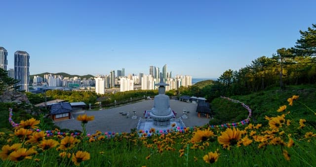 Back of a Buddha statue looking out over a city filled with buildings from day to night