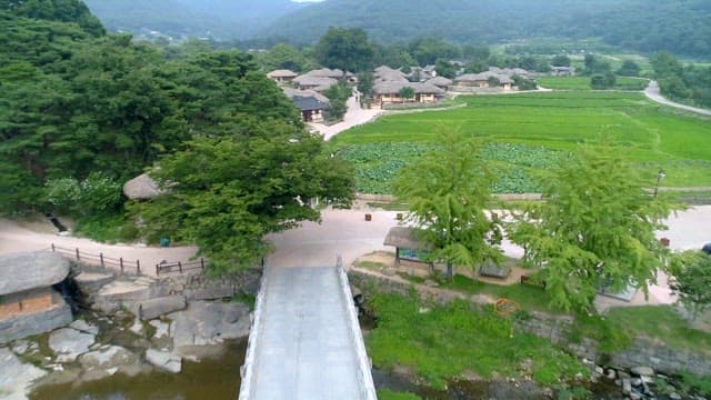 Traditional village with green fields with lotus leaves