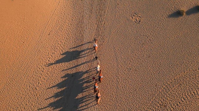 Camel procession crossing a vast desert