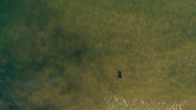 Single Person Standing on Beach with Waves
