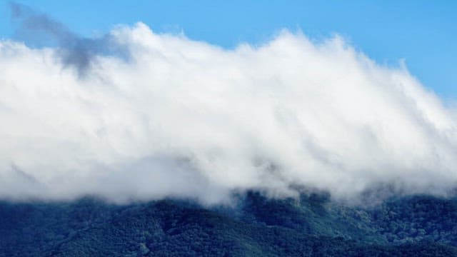 Clouds covering a lush green mountain