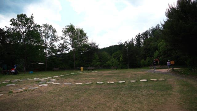 Park with grass surrounded by trees under a cloudy sky