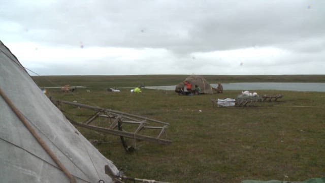 Erecting a tent in a remote grassy field
