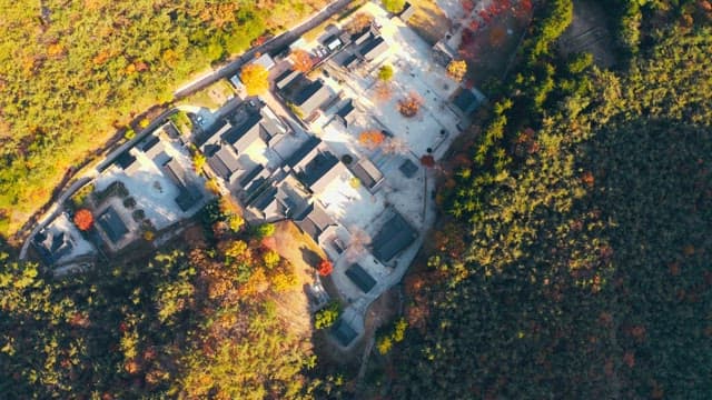 Temple surrounded by maple trees