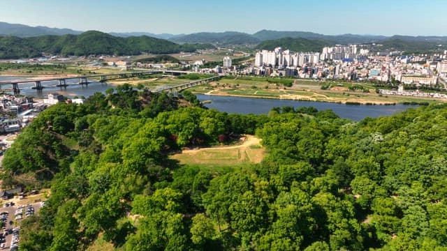 Lush green forest with a city in the background