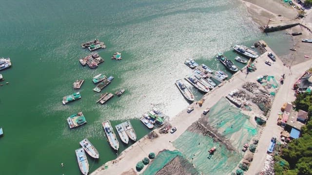 Coastal village with boats and greenery