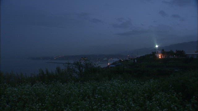 Dark coast near the village at sunset