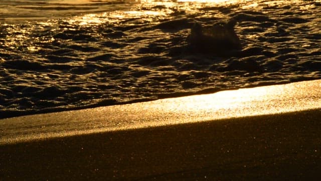 Golden sea waves during sunset