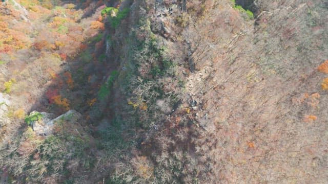 Colorful autumn mountain landscape