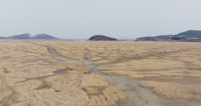 Vast field with distant hills