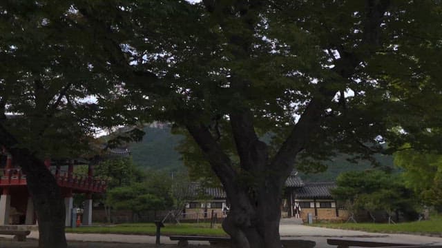 Serene traditional Korean village scenery