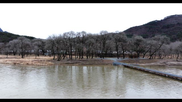 Winter river landscape with bare trees