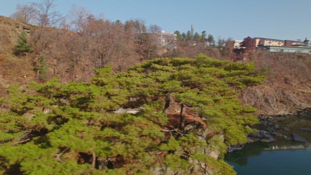 Scenic view of a traditional Korean pavilion