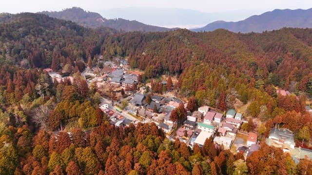 Village nestled in a forested mountain