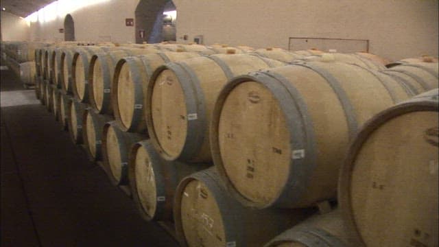 Rows of Wine Barrels in a Cellar
