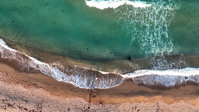 People having fun at a sandy beach