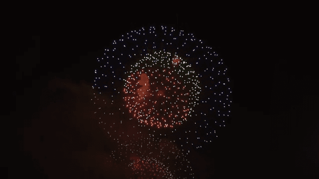 Colorful fireworks lighting up the night sky