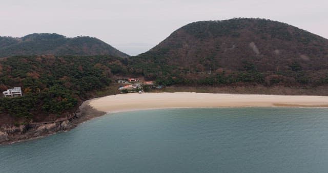 Serene Coastal Landscape with Forest and Sea
