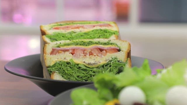 Sandwich and Salad Filled with Fresh Lettuce