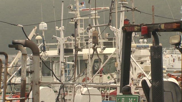 Fishing equipment and vessels at a dock