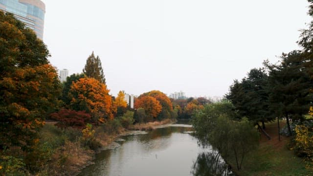 Urban Park with Autumn Foliage