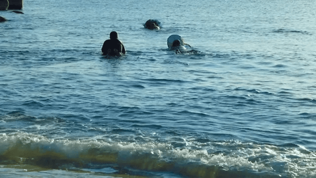 Haenyeos Swimming in the Sea on a Sunny Afternoon
