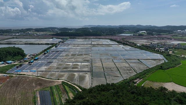 Landscape of Salt Pan in Coastal Village on a Sunny Day