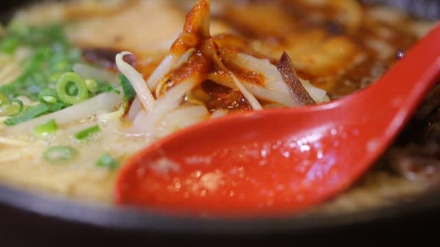 Spoonful of Oily Noodle Soup