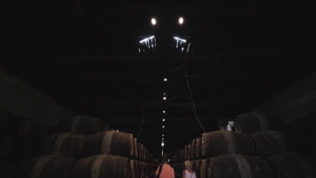 Tourists Exploring a Dark Warehouse Filled with Barrels