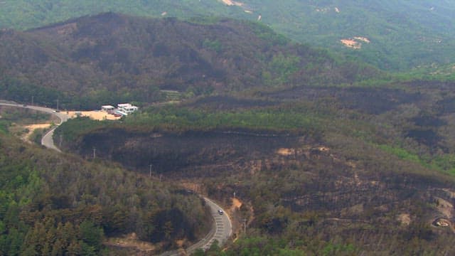 Narrow Road Between Quiet and Peaceful Green Spaces