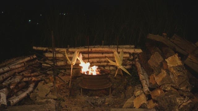 Corn roasting on a campfire surrounded by logs