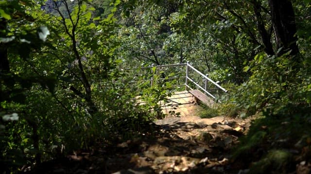 Observatory with sunlight in the forest
