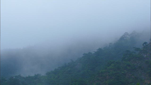 Dense mountain covered in thick fog