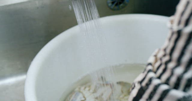 Cleaning Fresh Crabs in a Kitchen Sink