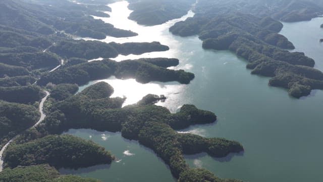 Serene Lakes Amidst Rolling and Lush Forested Hills
