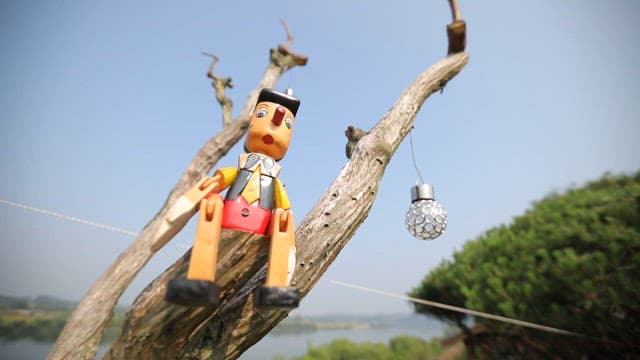 Wooden puppet Pinocchio sitting on a tree branch