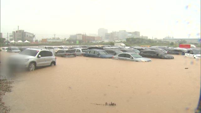 Flooded parking lot with submerged cars