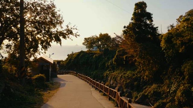 Serene Pathway Through Lush Greenery
