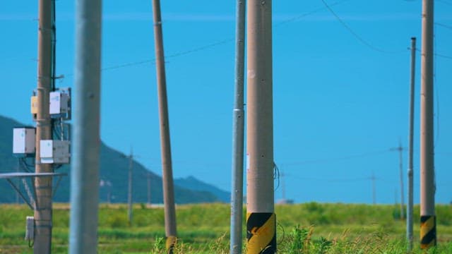 Electrical Poles and Wires in Green Rural Landscape