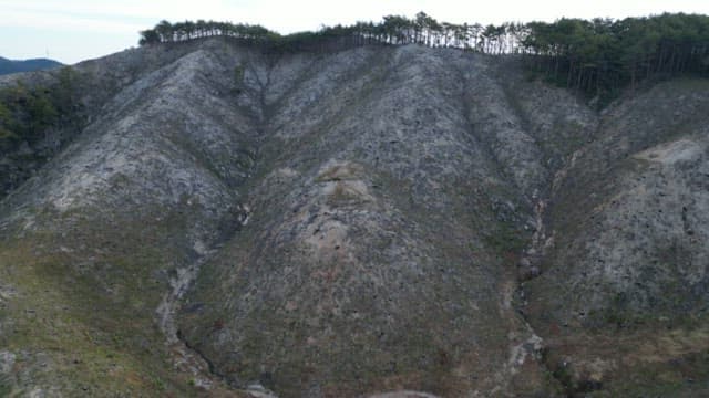 Expansive mountainous landscape with forested valleys in daytime
