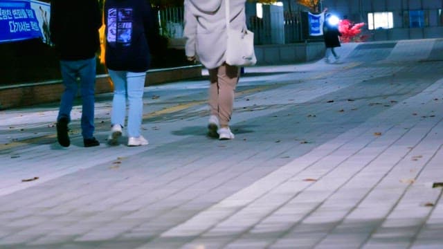People walking down the street in the evening with fallen leaves