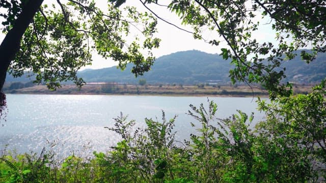 Scenic view of a river with green foliage and distant hills